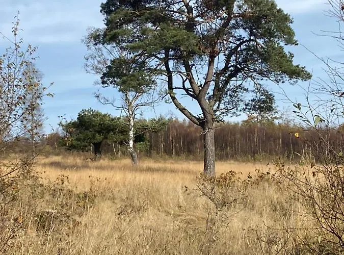 Apartment Landhausidylle *