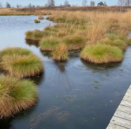 Landhausidylle Apartment